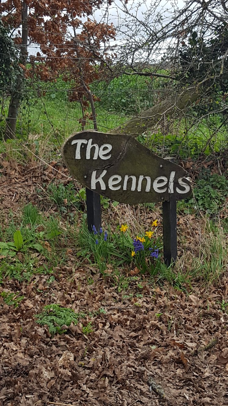 sign